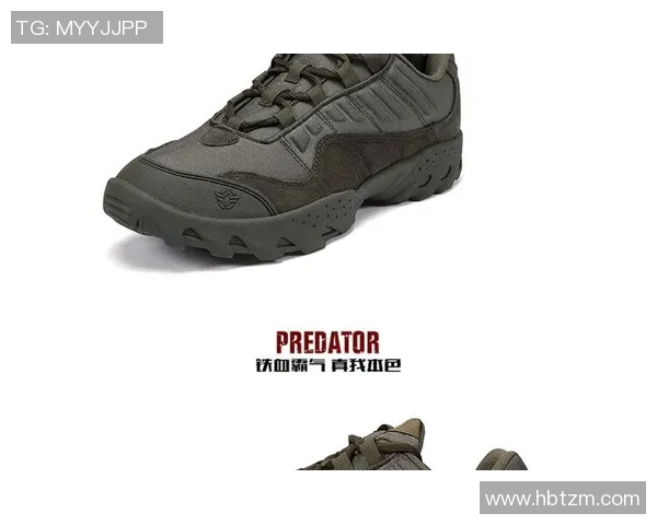 深圳攀岩队防守战术深度解析与实战应用探讨