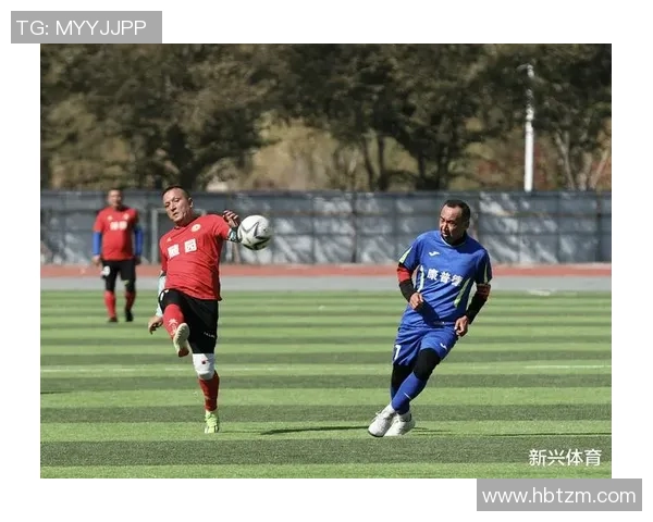 温柔足球：在激情与优雅之间寻找运动的真谛与灵魂