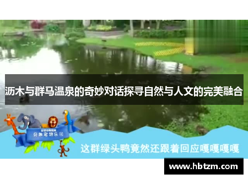 沥木与群马温泉的奇妙对话探寻自然与人文的完美融合